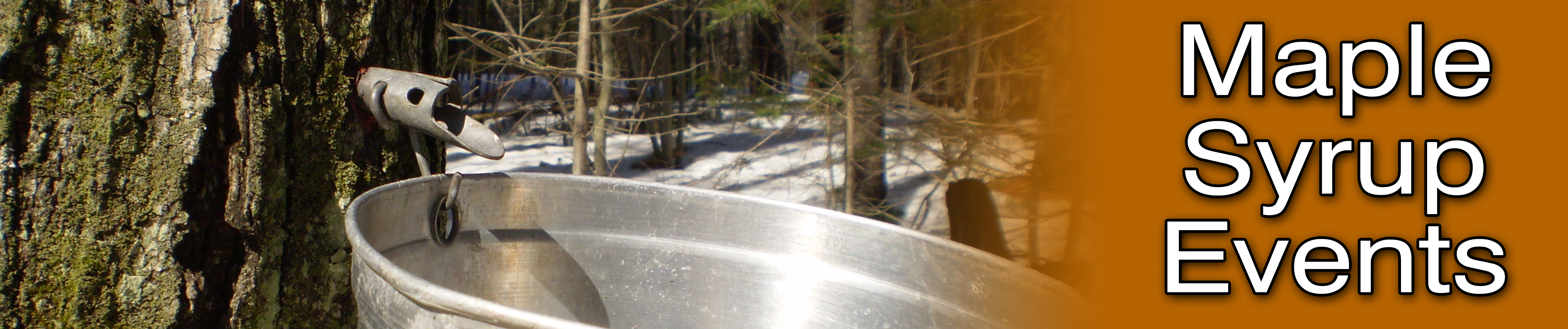Maple Syrup Festivals